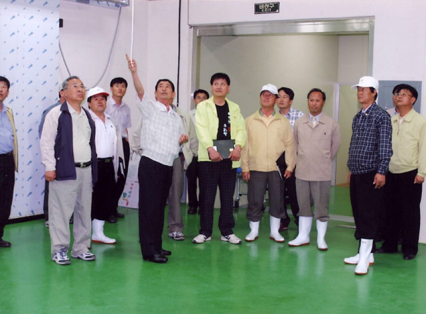 추부면 만인산농협 깻잎 출하장_0