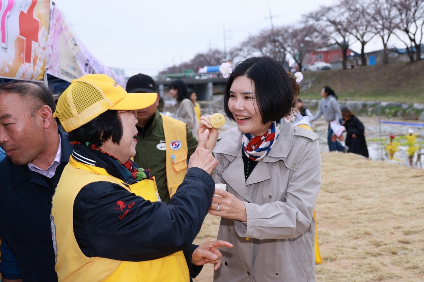 제15회 금산천 벚꽃축제_10