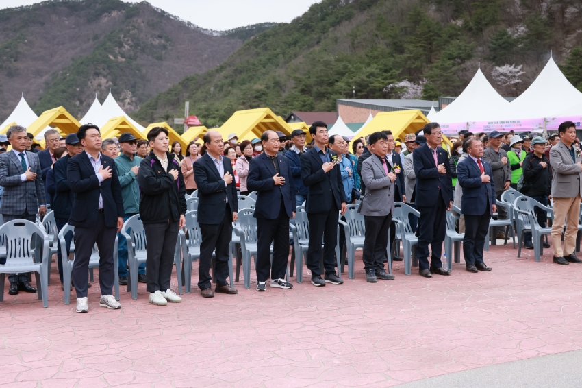 홍도화 및 보곡산골 산벚꽃 축제_1