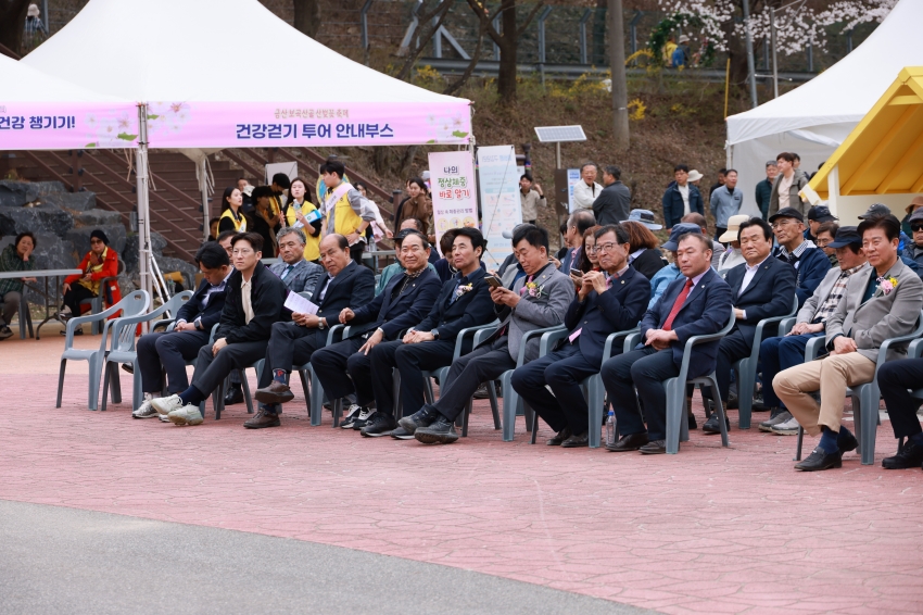 홍도화 및 보곡산골 산벚꽃 축제_2