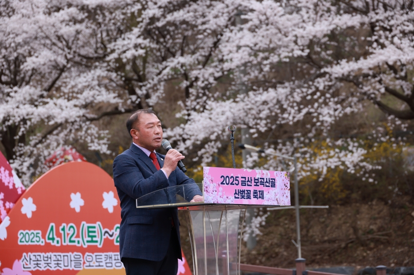 홍도화 및 보곡산골 산벚꽃 축제_3