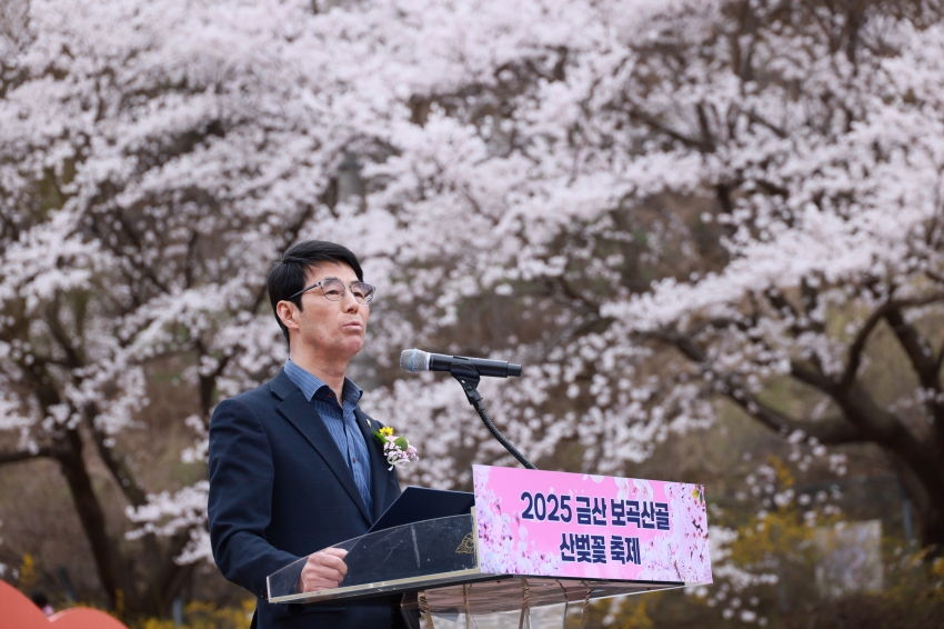 홍도화 및 보곡산골 산벚꽃 축제_4