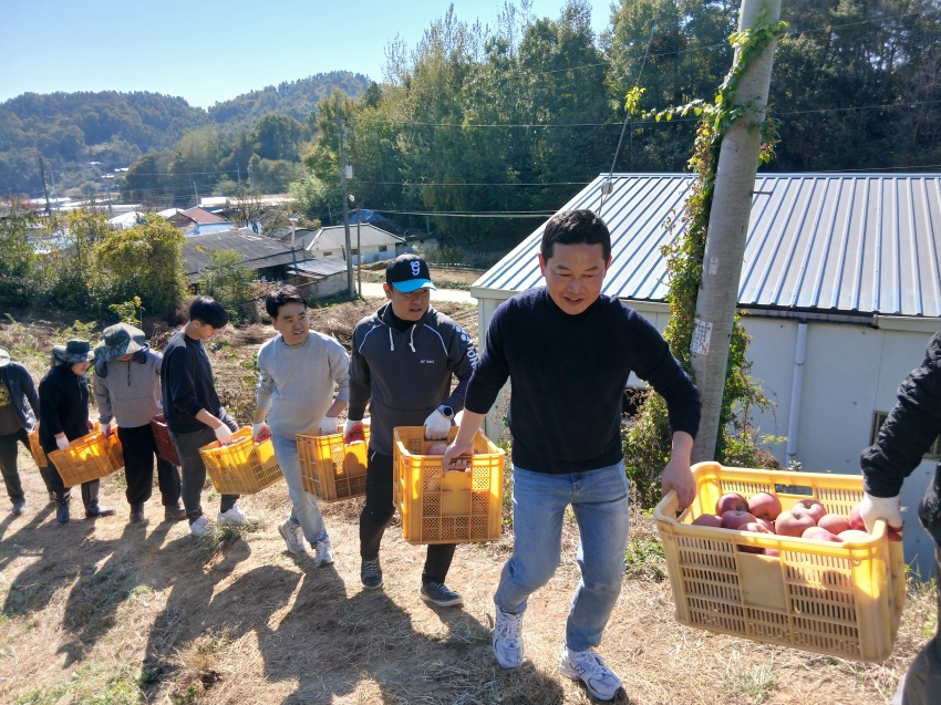 가을철 농촌 일손돕기_2
