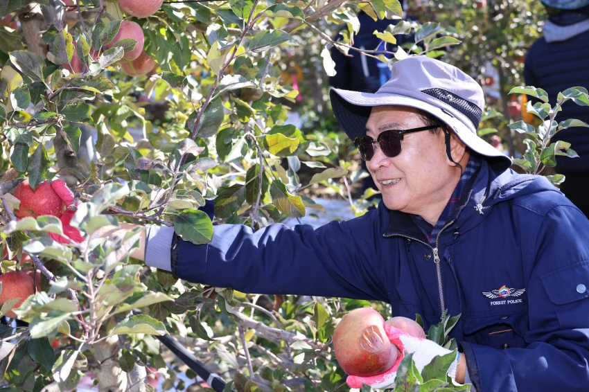 가을철 농촌 일손돕기_7