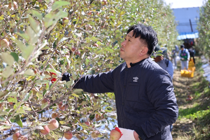 가을철 농촌 일손돕기_8