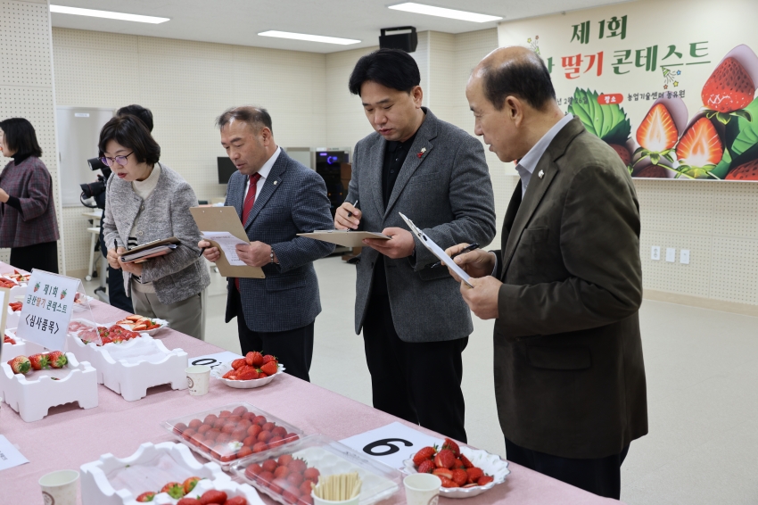 제1회 금산딸기 콘테스트_2