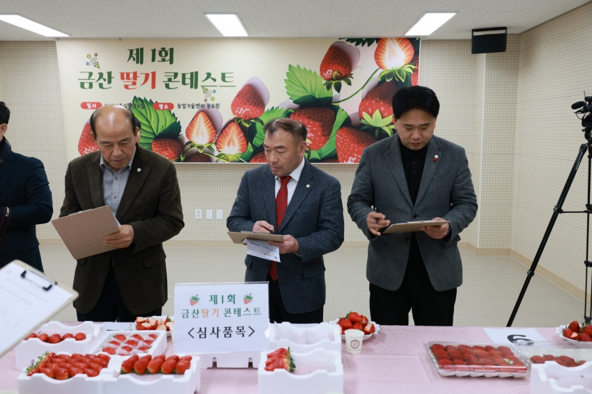 제1회 금산딸기 콘테스트_3