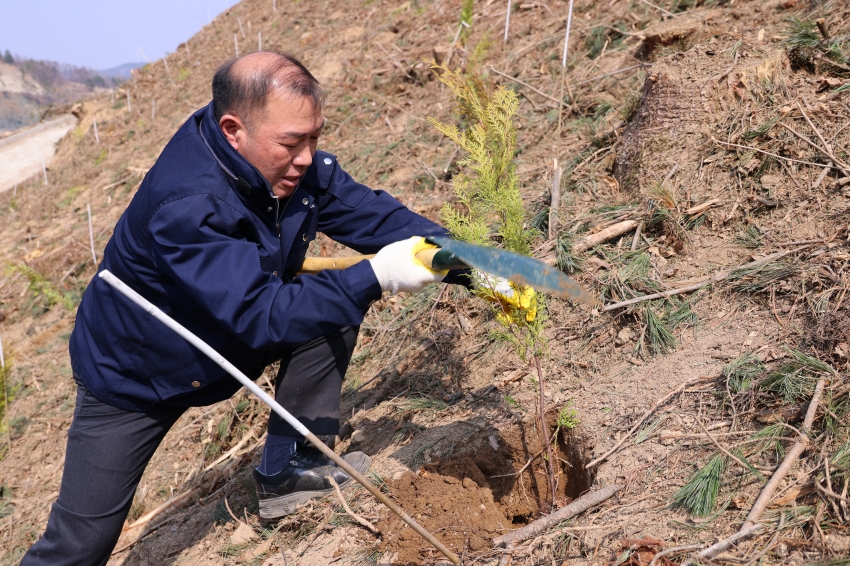 제81회 식목일 기념 나무심기 행사_0