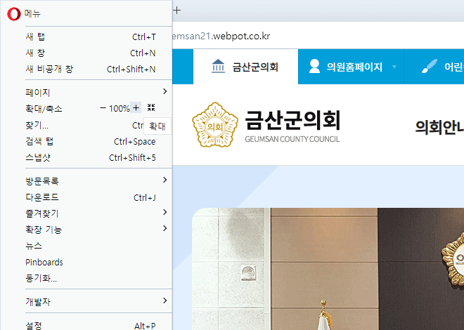 오페라 : 상단 메뉴중 보기 > Zoom 메뉴에서 설정